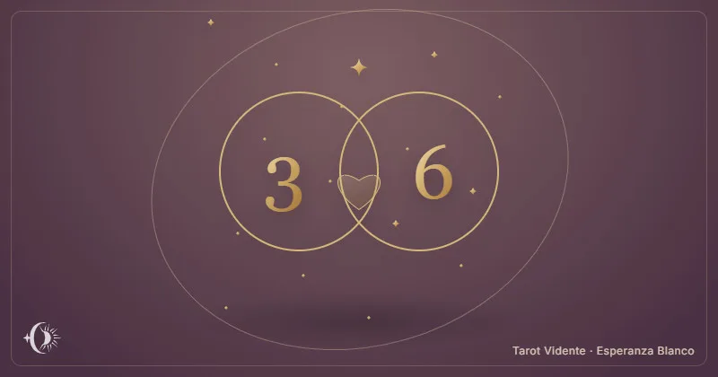 Compatibilidade numerológica. Números ligados em círculos dourados. Tarot Vidente · Esperanza Blanco.